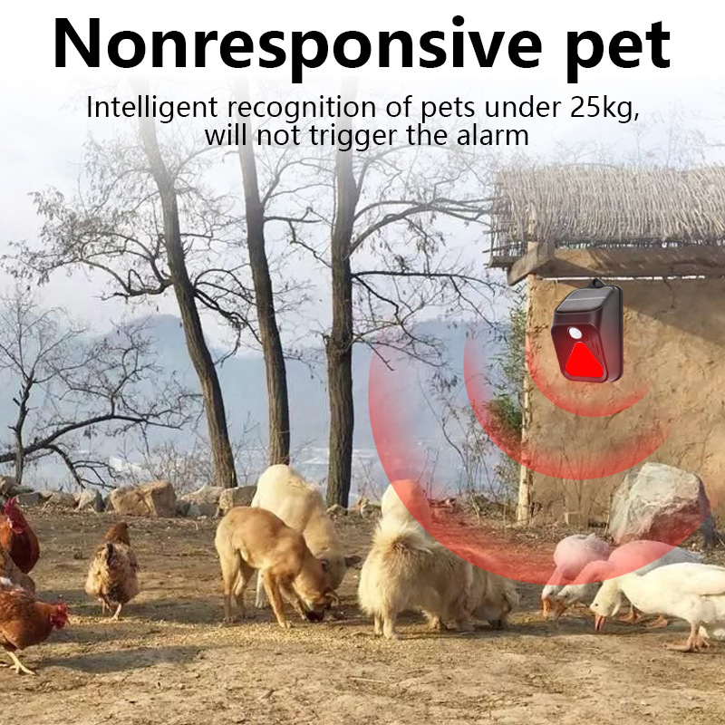 กันน้ําพลังงานแสงอาทิตย์นาฬิกา - Home Security Yard Sensors บทวิจารณ์และราคา